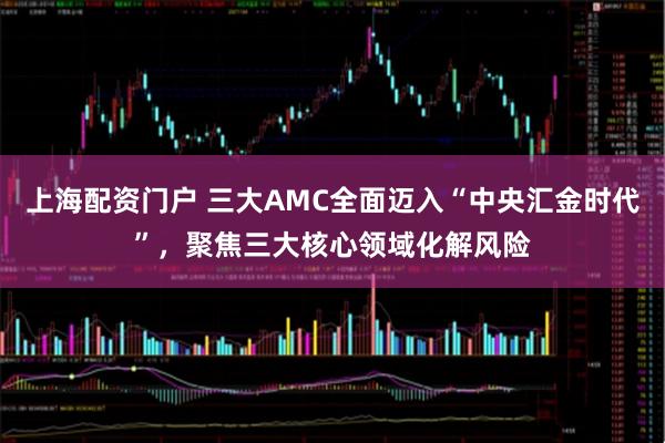 上海配资门户 三大AMC全面迈入“中央汇金时代”，聚焦三大核心领域化解风险