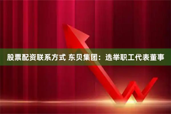 股票配资联系方式 东贝集团：选举职工代表董事