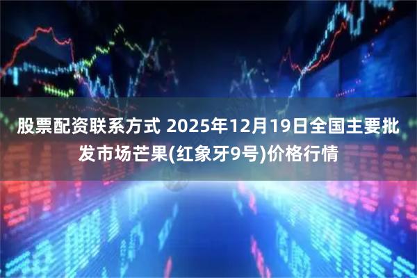 股票配资联系方式 2025年12月19日全国主要批发市场芒果(红象牙9号)价格行情